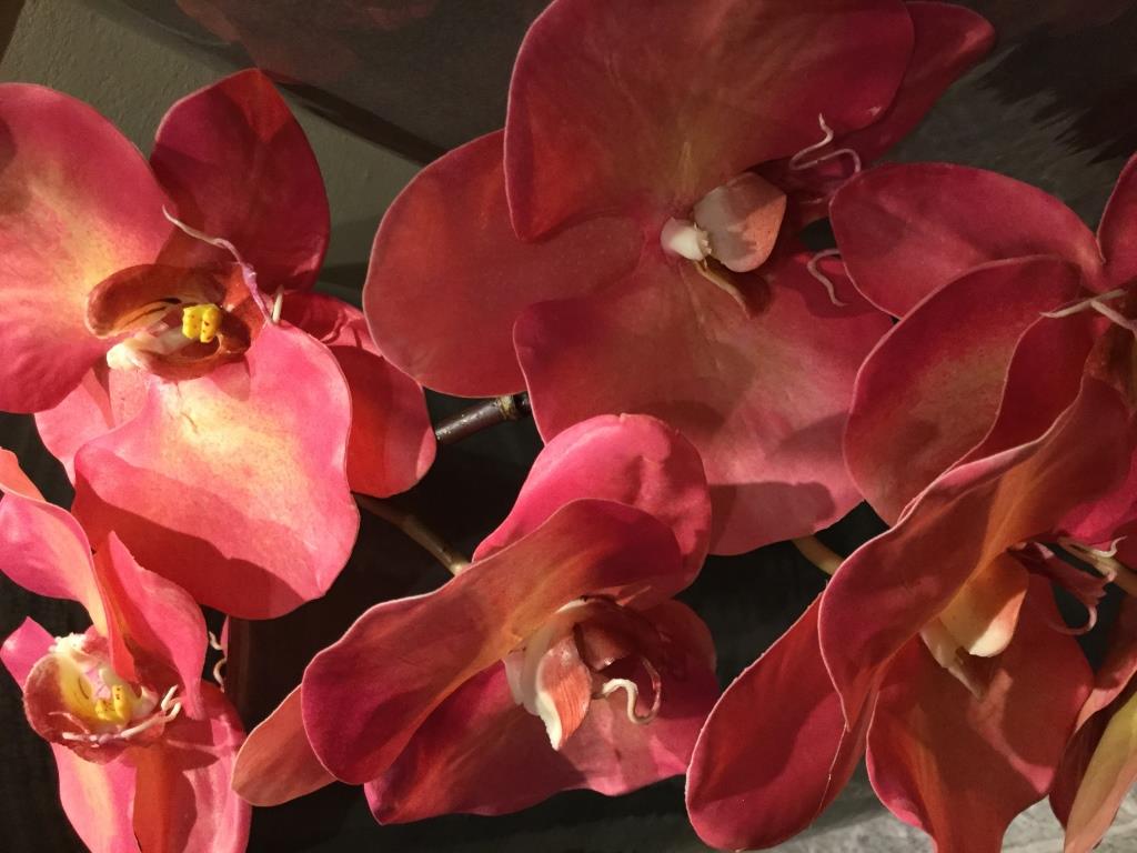 Seidenblumen Orchidee